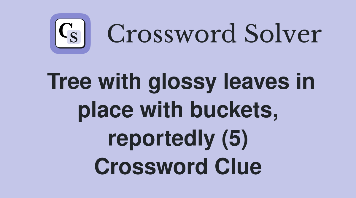 Tree with glossy leaves in place with buckets, reportedly (5) Crossword Clue