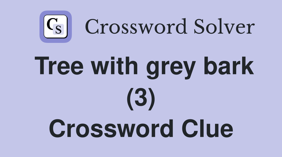 Tree with grey bark (3) Crossword Clue
