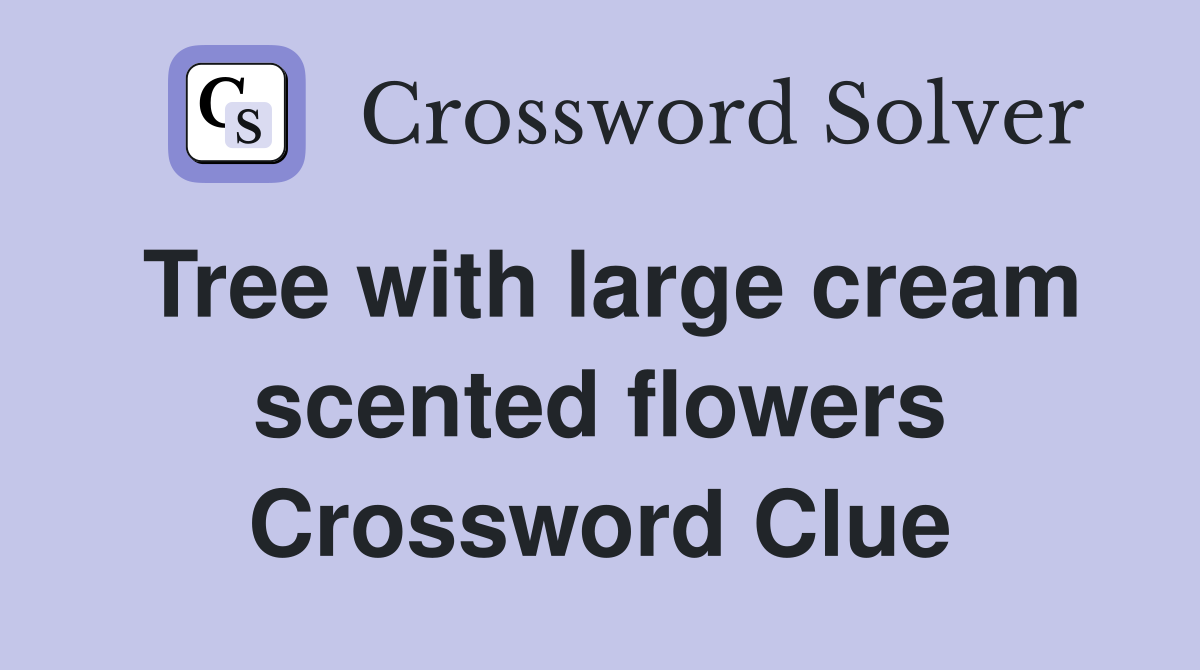 Tree with large cream scented flowers Crossword Clue
