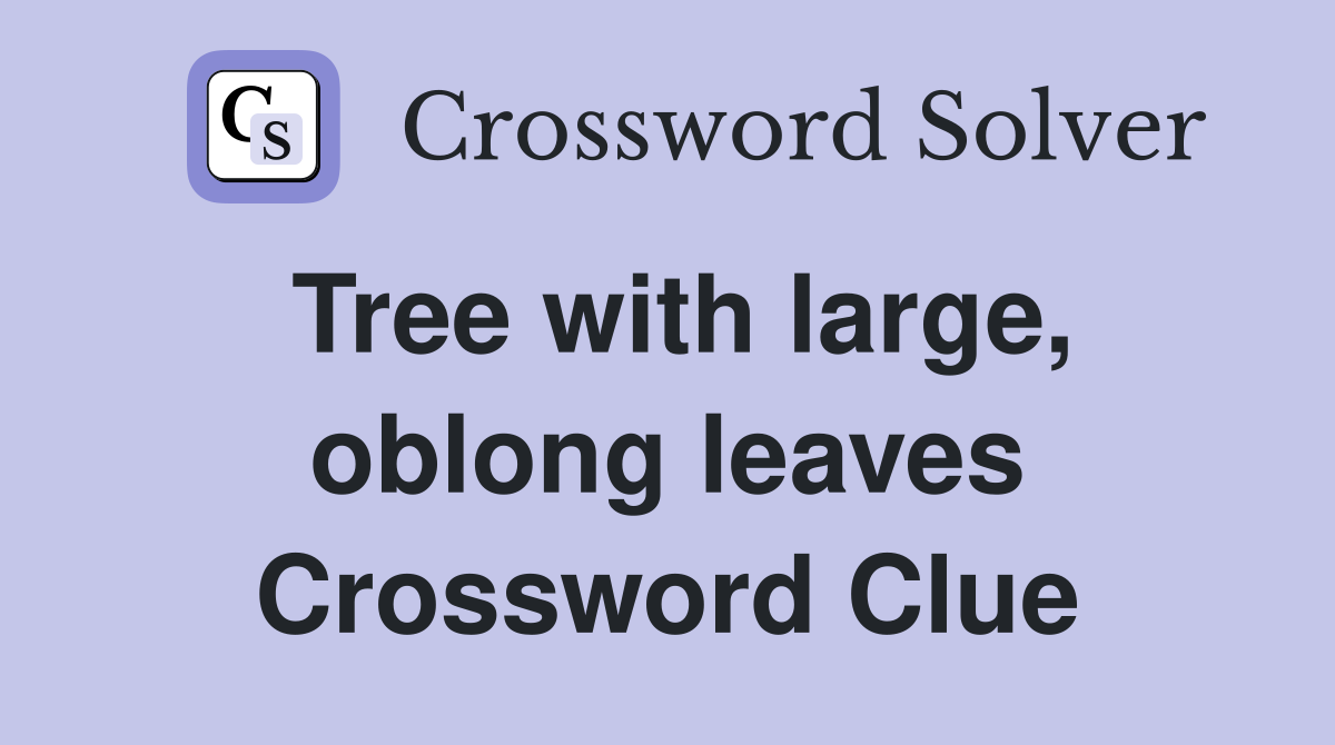 Tree with large, oblong leaves Crossword Clue