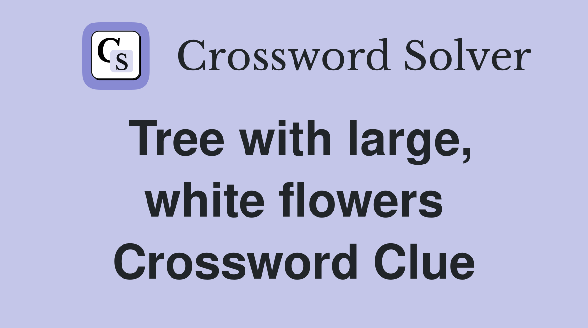 Tree with large, white flowers Crossword Clue