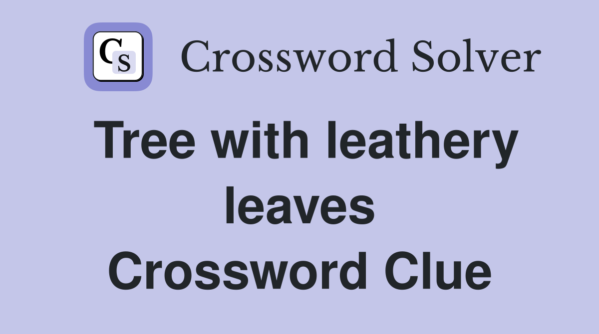 Tree with leathery leaves Crossword Clue