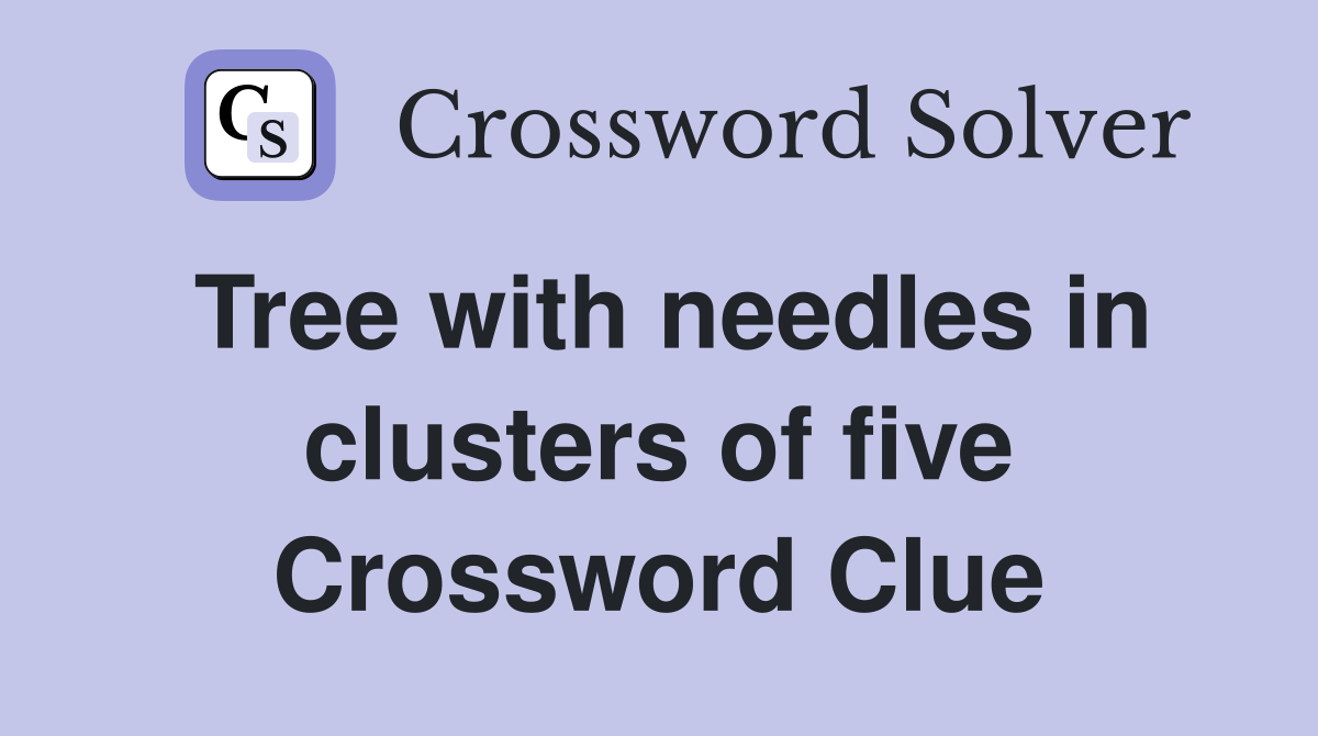 Tree with needles in clusters of five Crossword Clue