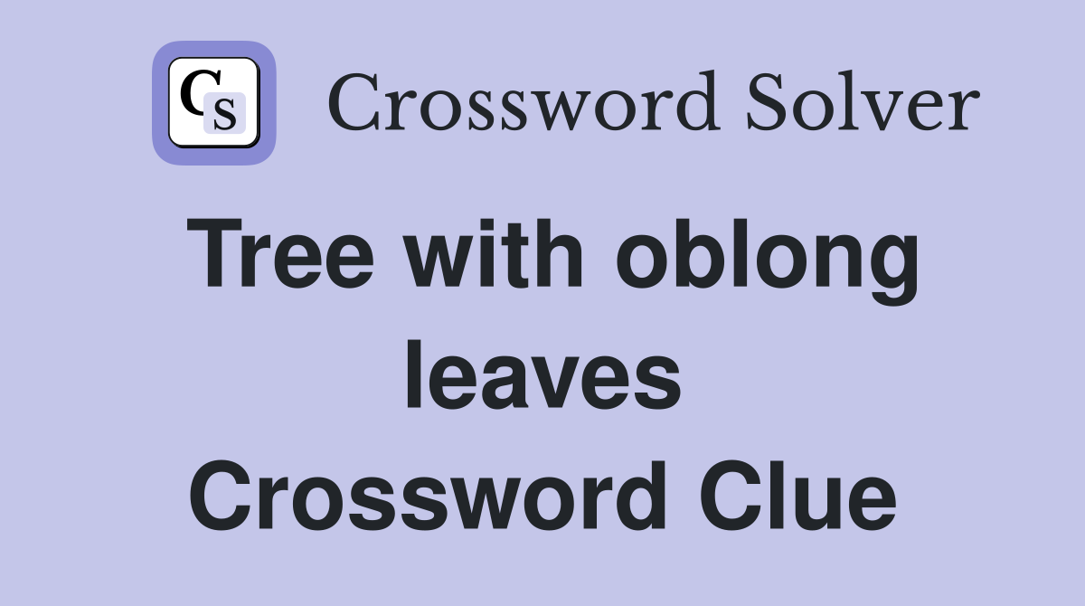 Tree with oblong leaves Crossword Clue
