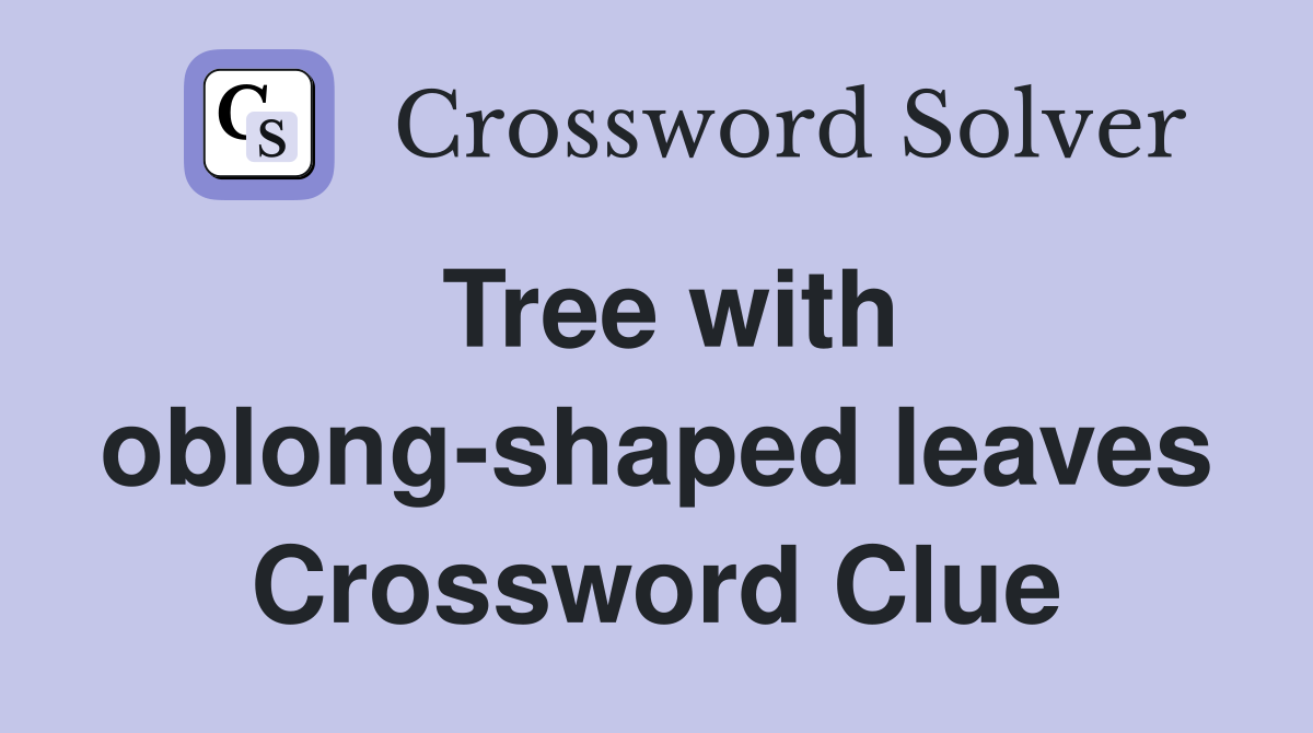 Tree with oblong-shaped leaves Crossword Clue