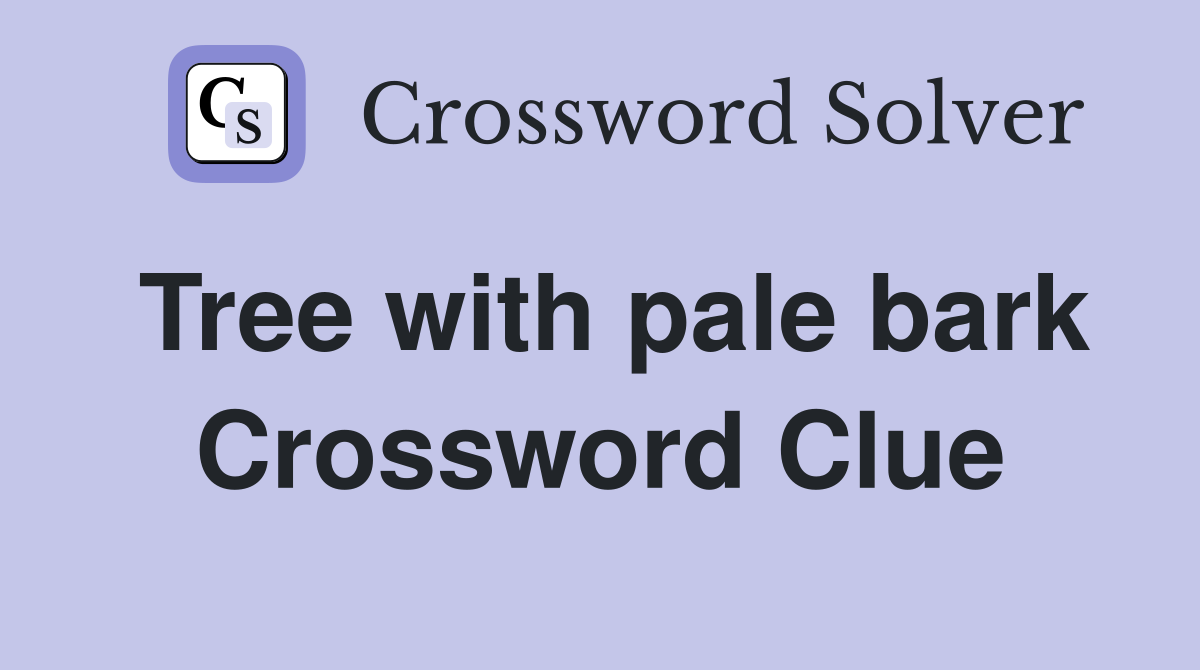 Tree with pale bark Crossword Clue
