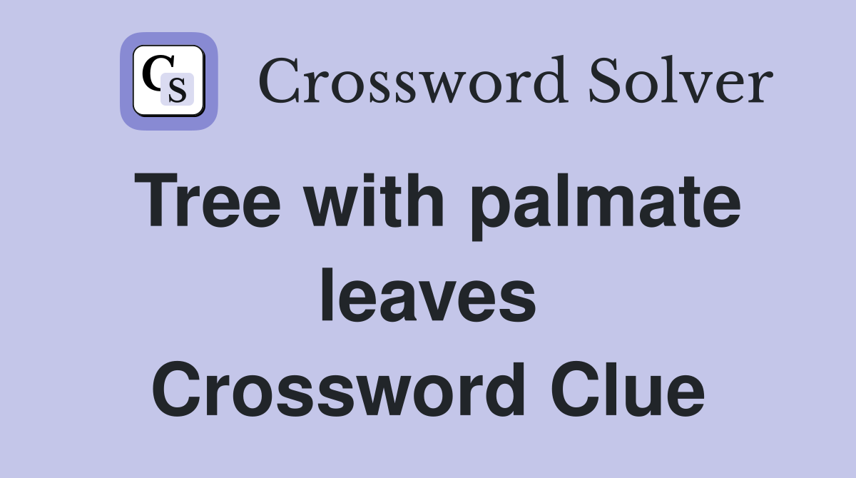 Tree with palmate leaves Crossword Clue