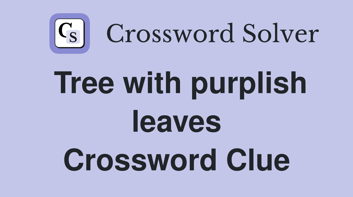 Tree with purplish leaves Crossword Clue