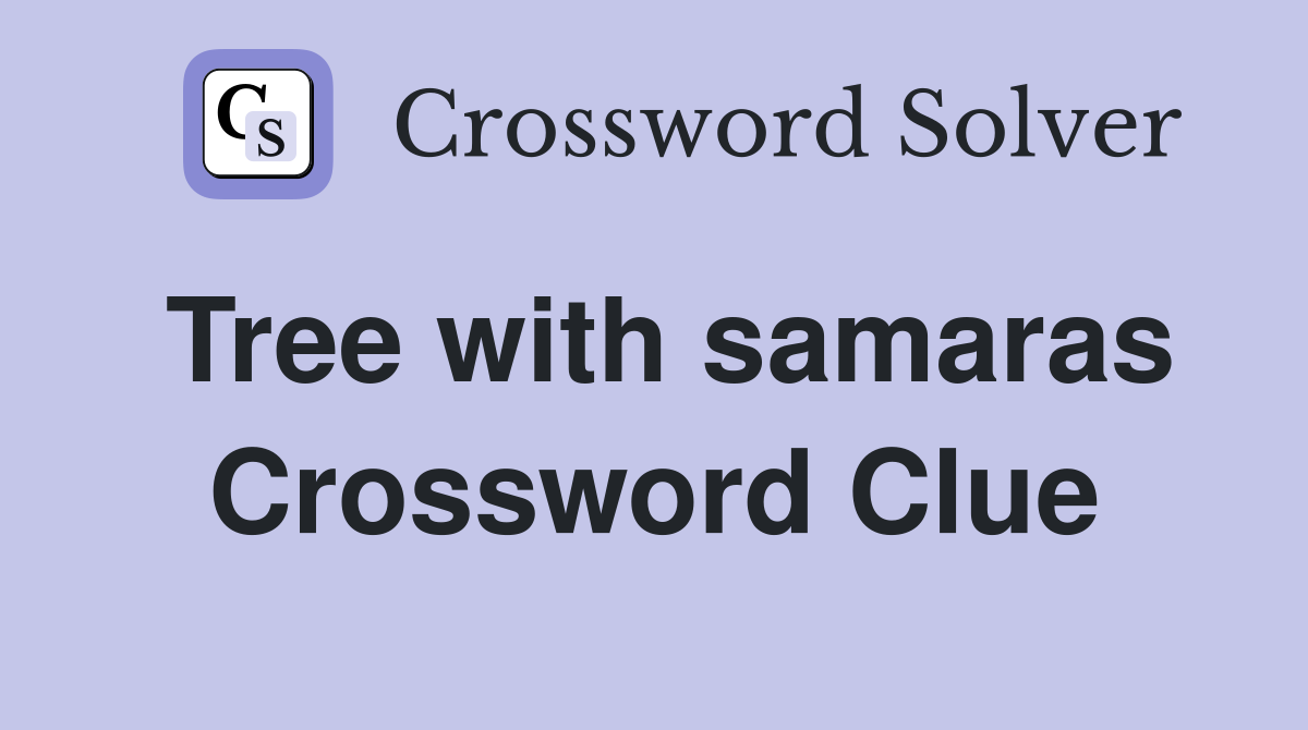 Tree with samaras Crossword Clue