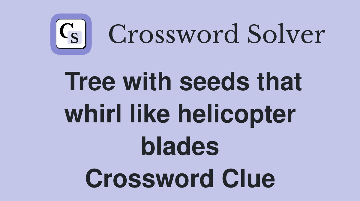 Tree with seeds that whirl like helicopter blades Crossword Clue