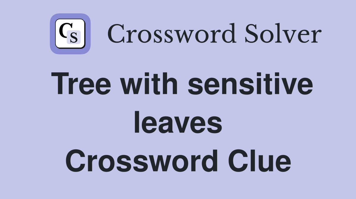 Tree with sensitive leaves Crossword Clue
