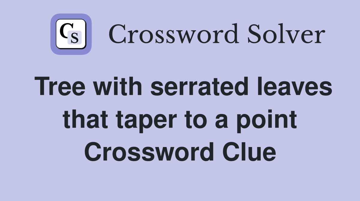 Tree with serrated leaves that taper to a point Crossword Clue