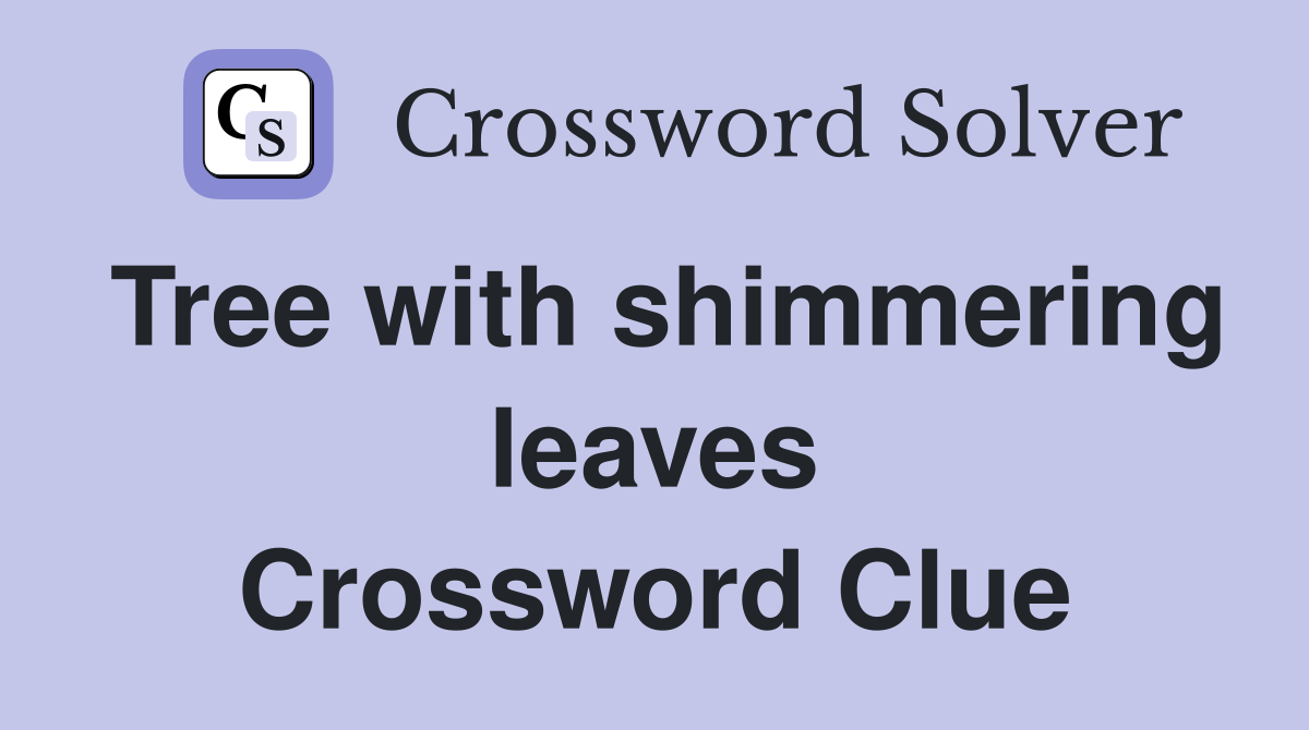 Tree with shimmering leaves Crossword Clue