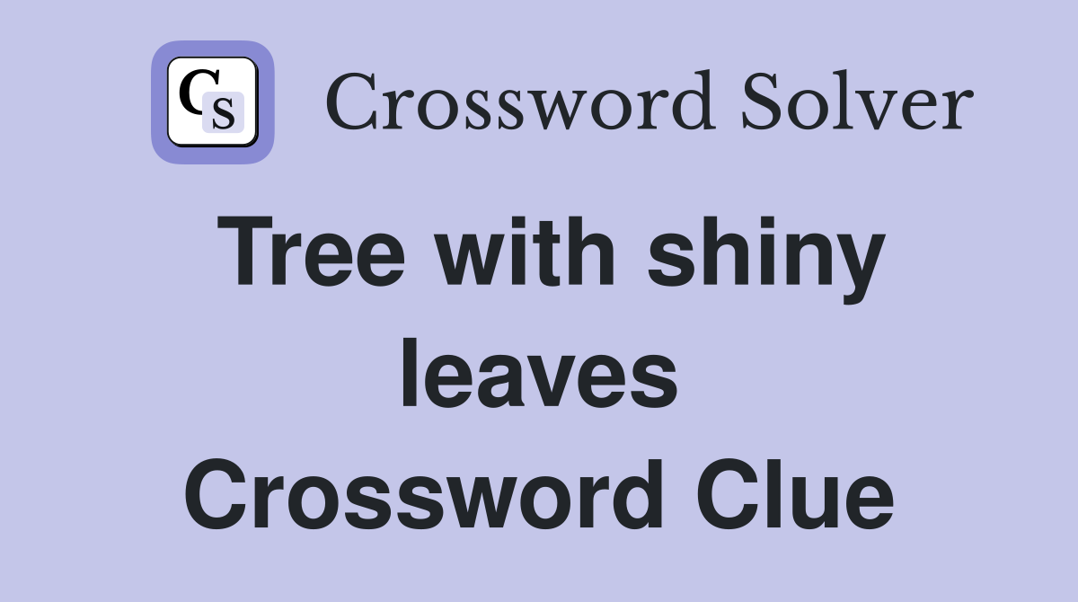 Tree with shiny leaves Crossword Clue