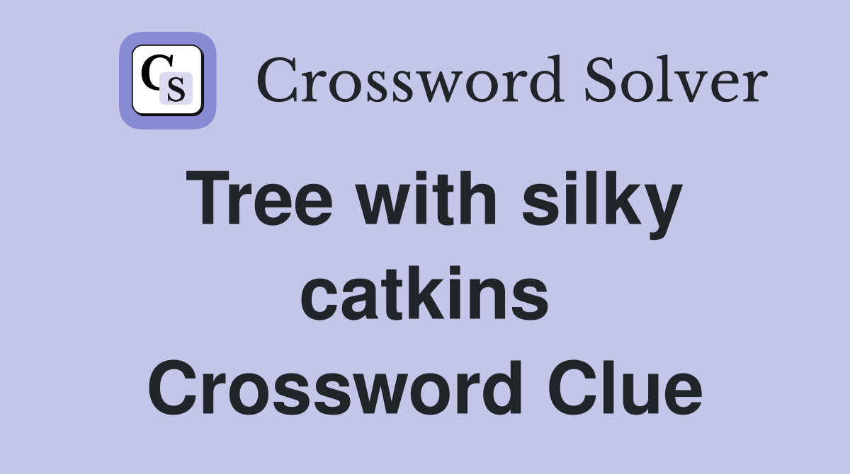 Tree with silky catkins Crossword Clue