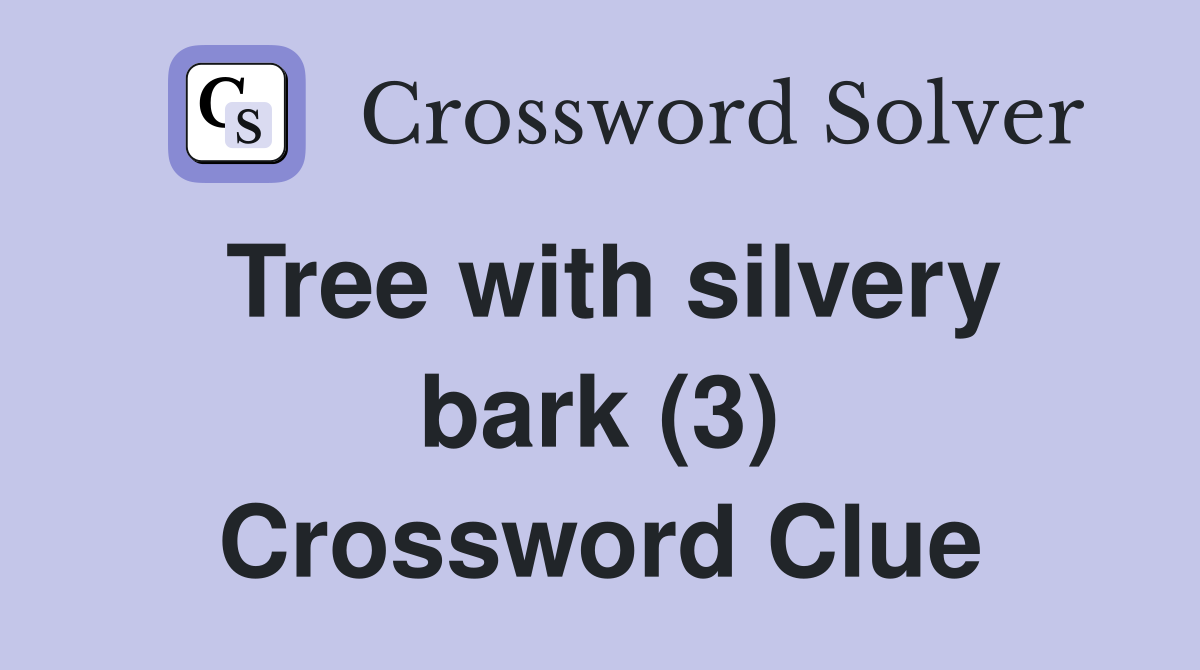 Tree with silvery bark (3) Crossword Clue