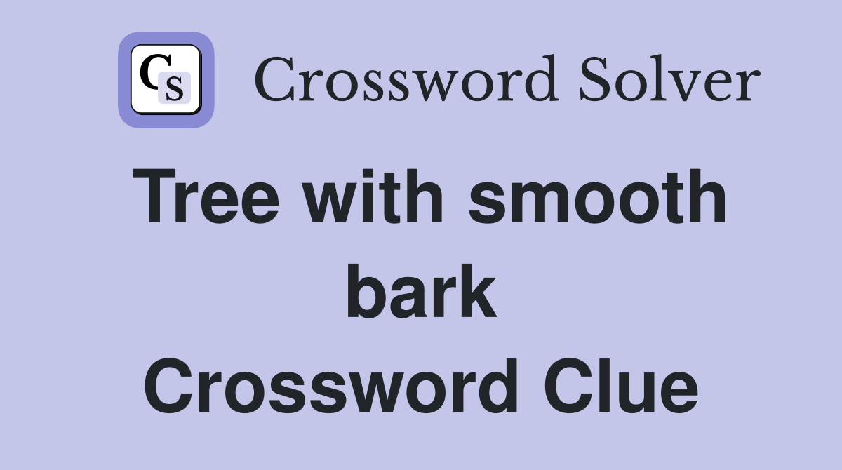 Tree with smooth bark Crossword Clue