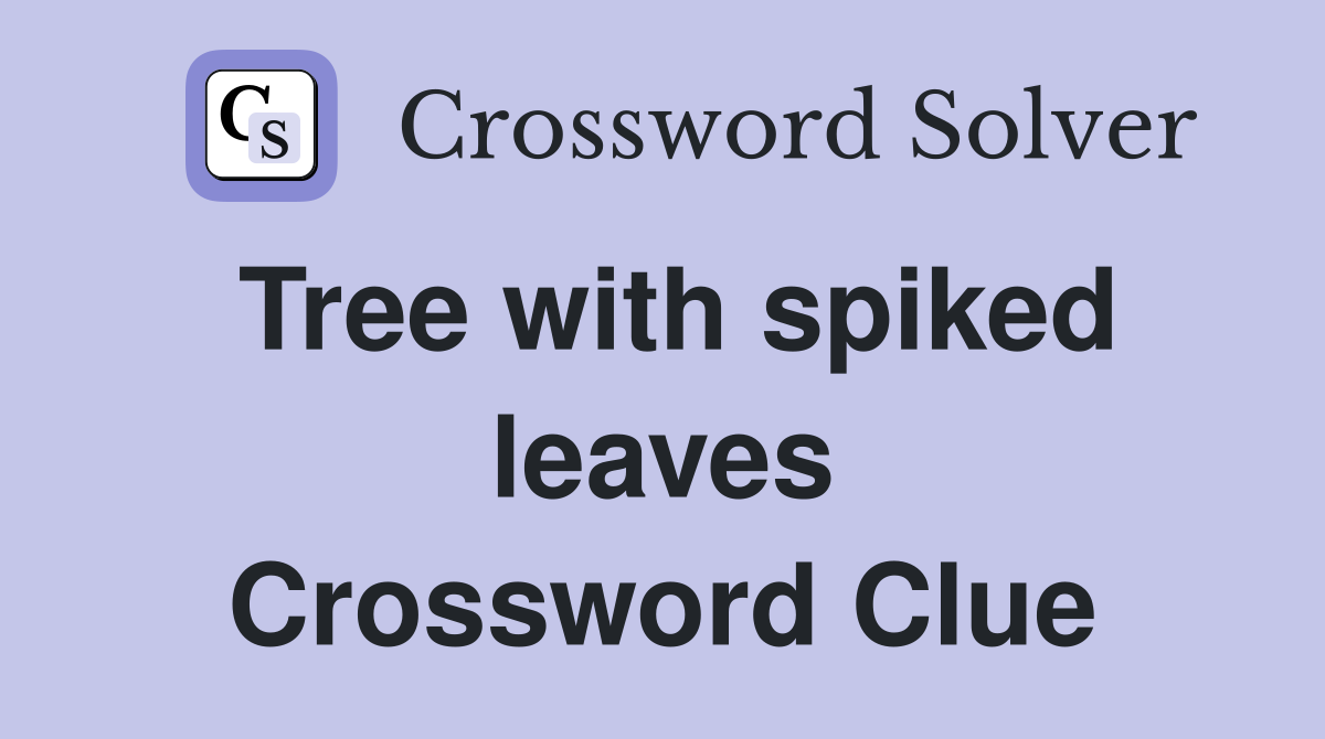Tree with spiked leaves Crossword Clue