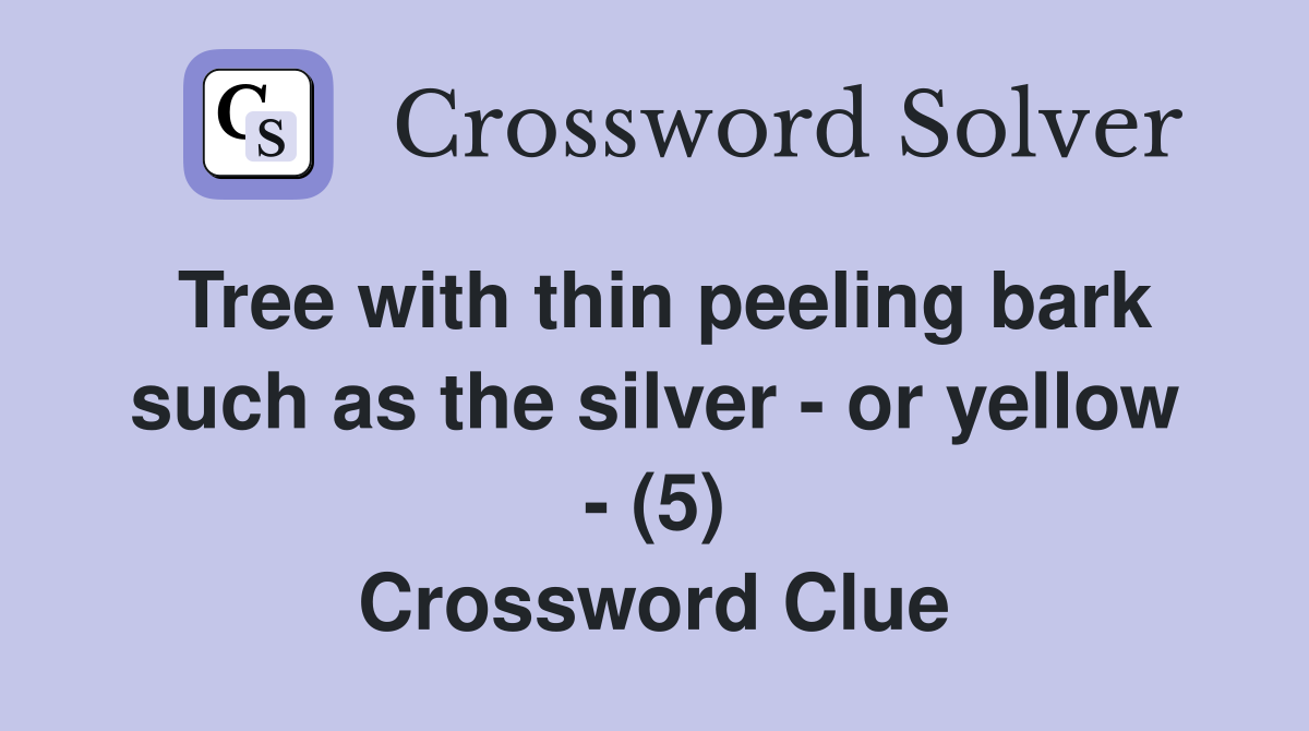 Tree with thin peeling bark such as the silver - or yellow - (5) Crossword Clue