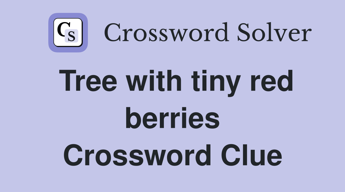 Tree with tiny red berries Crossword Clue