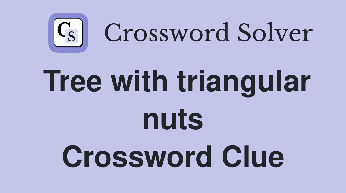 Tree with triangular nuts Crossword Clue