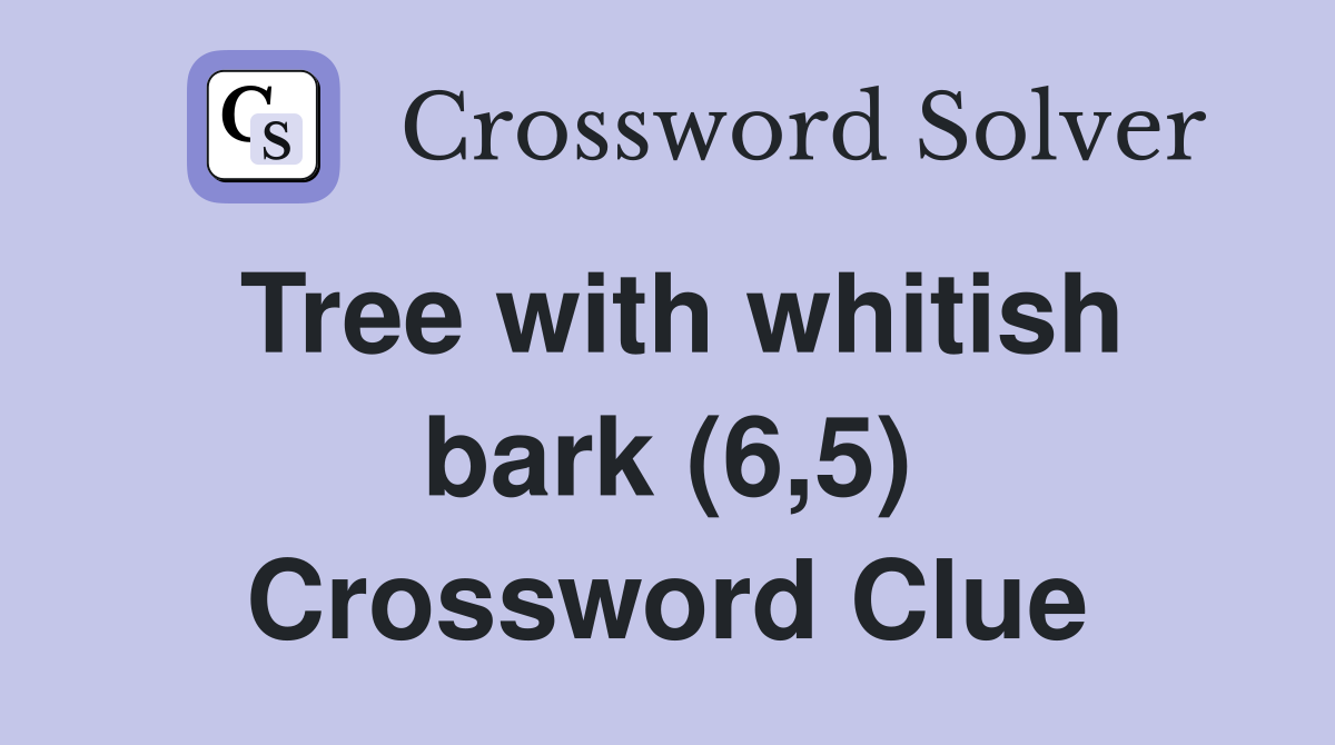 Tree with whitish bark (6,5) Crossword Clue