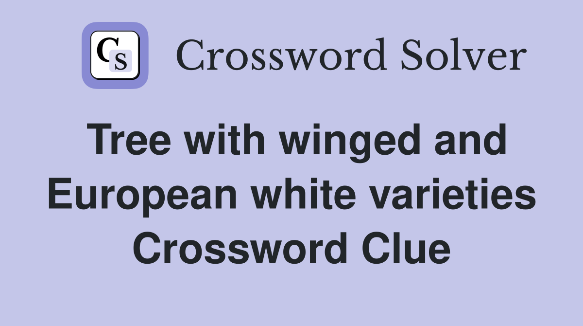 Tree with winged and European white varieties Crossword Clue