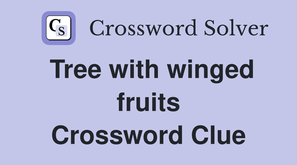 Tree with winged fruits Crossword Clue
