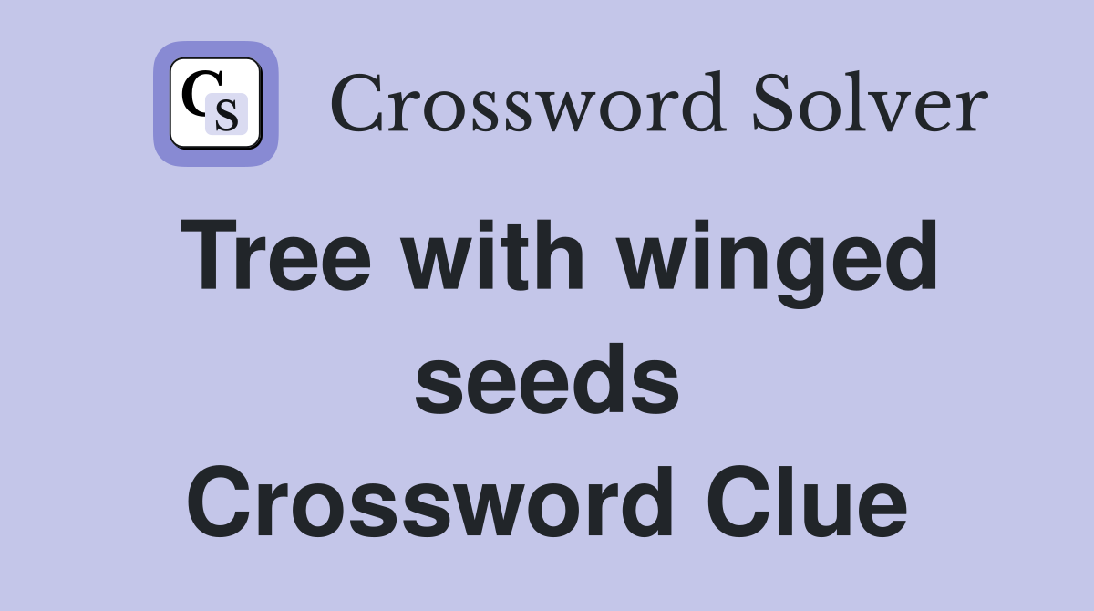 Tree with winged seeds Crossword Clue