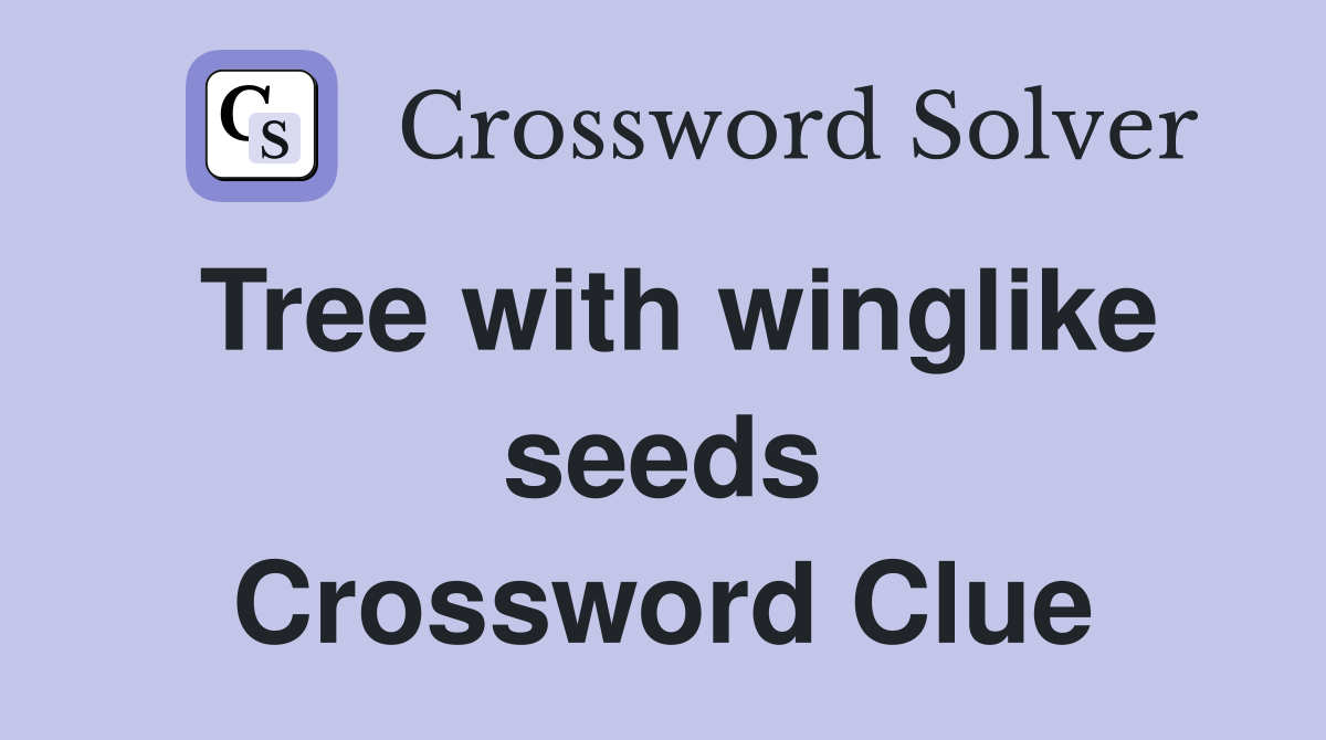 Tree with winglike seeds Crossword Clue
