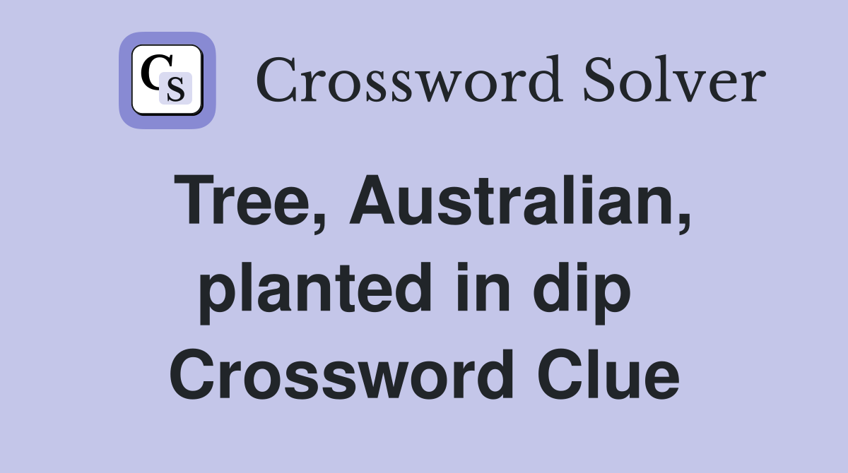 Tree, Australian, planted in dip  Crossword Clue