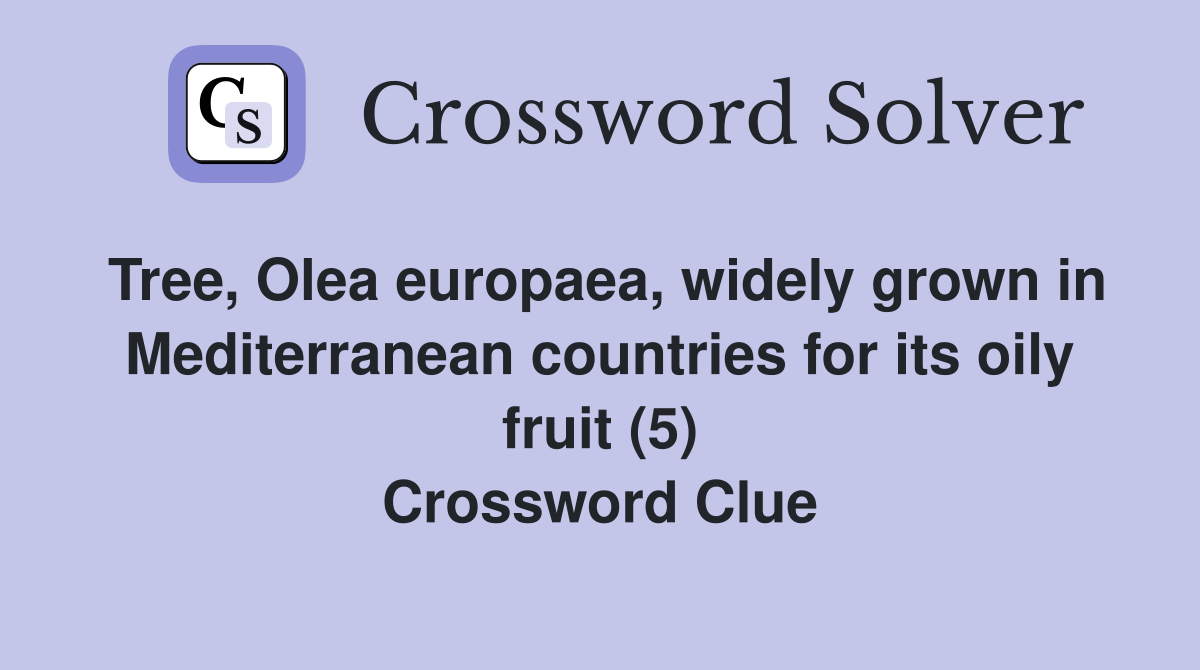 Tree, Olea europaea, widely grown in Mediterranean countries for its oily fruit (5) Crossword Clue
