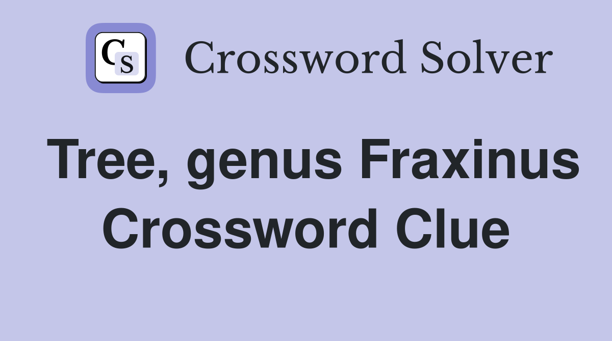 Tree, genus Fraxinus Crossword Clue