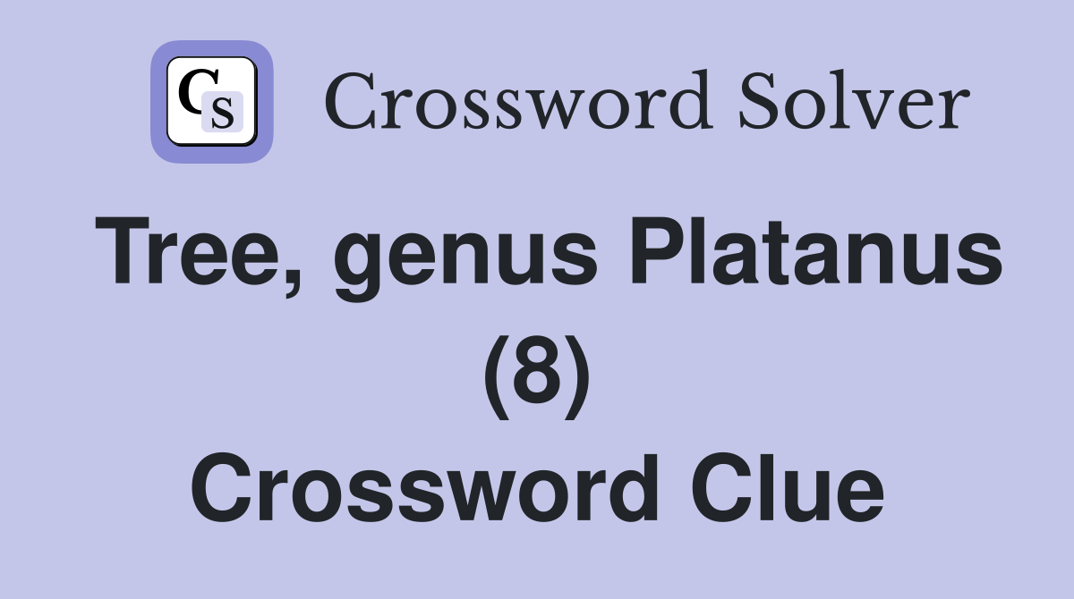 Tree, genus Platanus (8) Crossword Clue