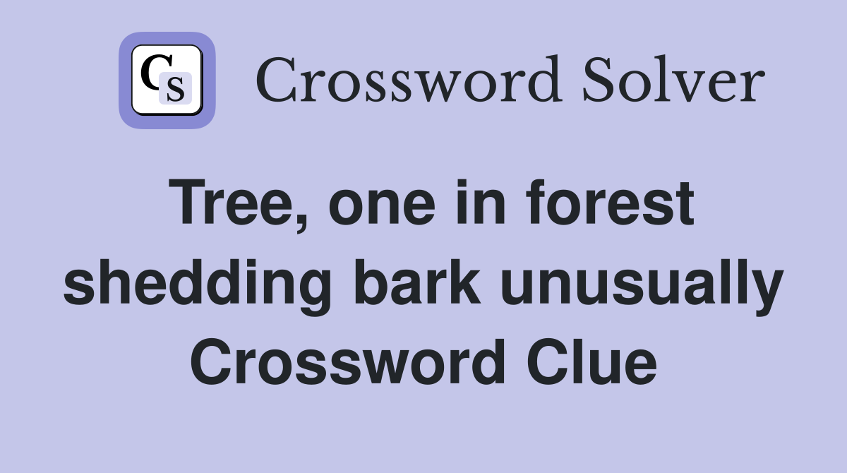 Tree, one in forest shedding bark unusually Crossword Clue