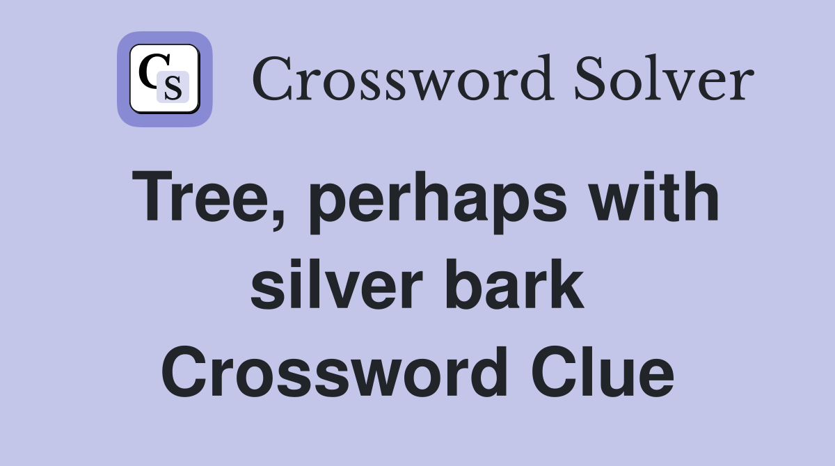 Tree, perhaps with silver bark Crossword Clue