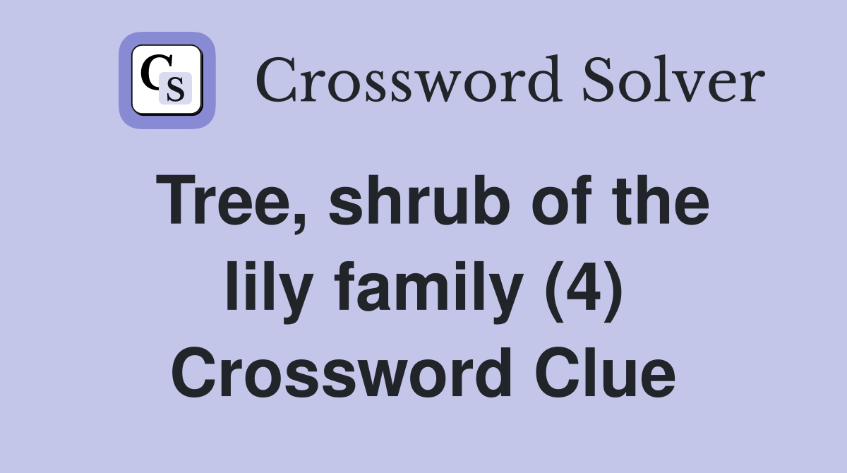 Tree, shrub of the lily family (4) Crossword Clue