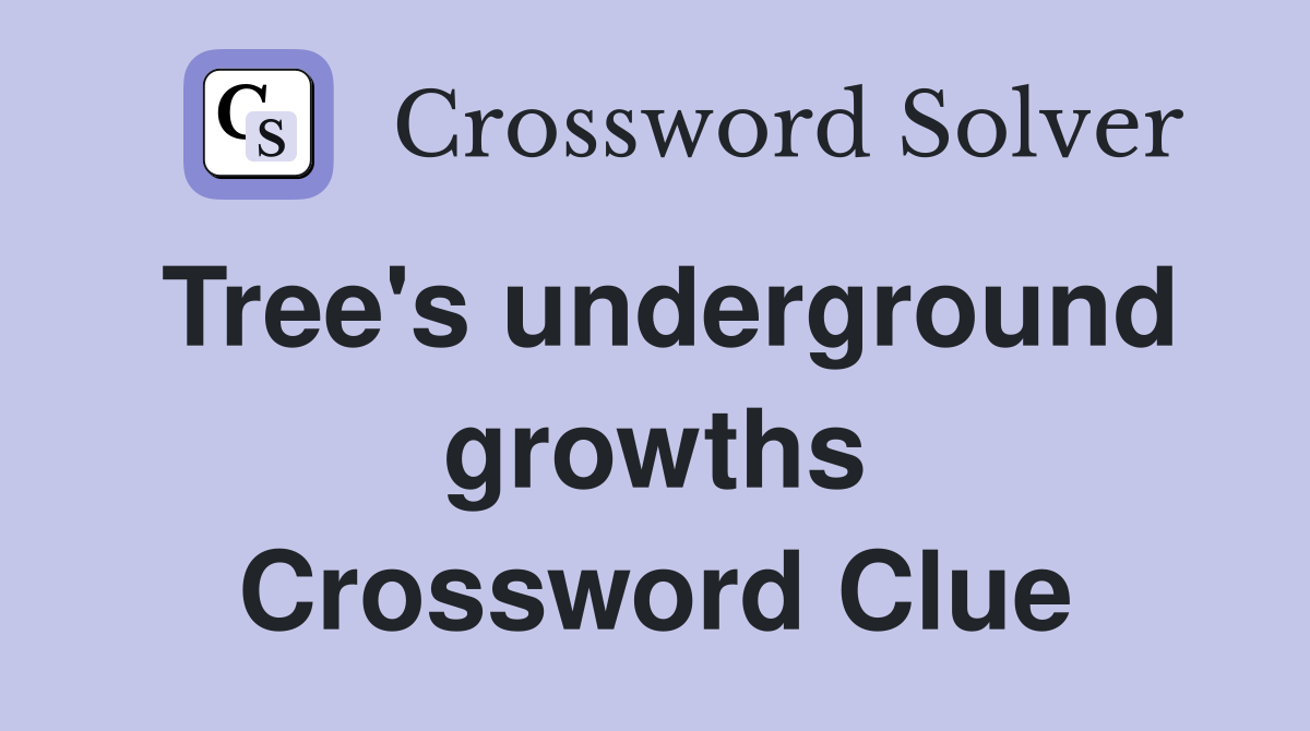 Tree's underground growths Crossword Clue