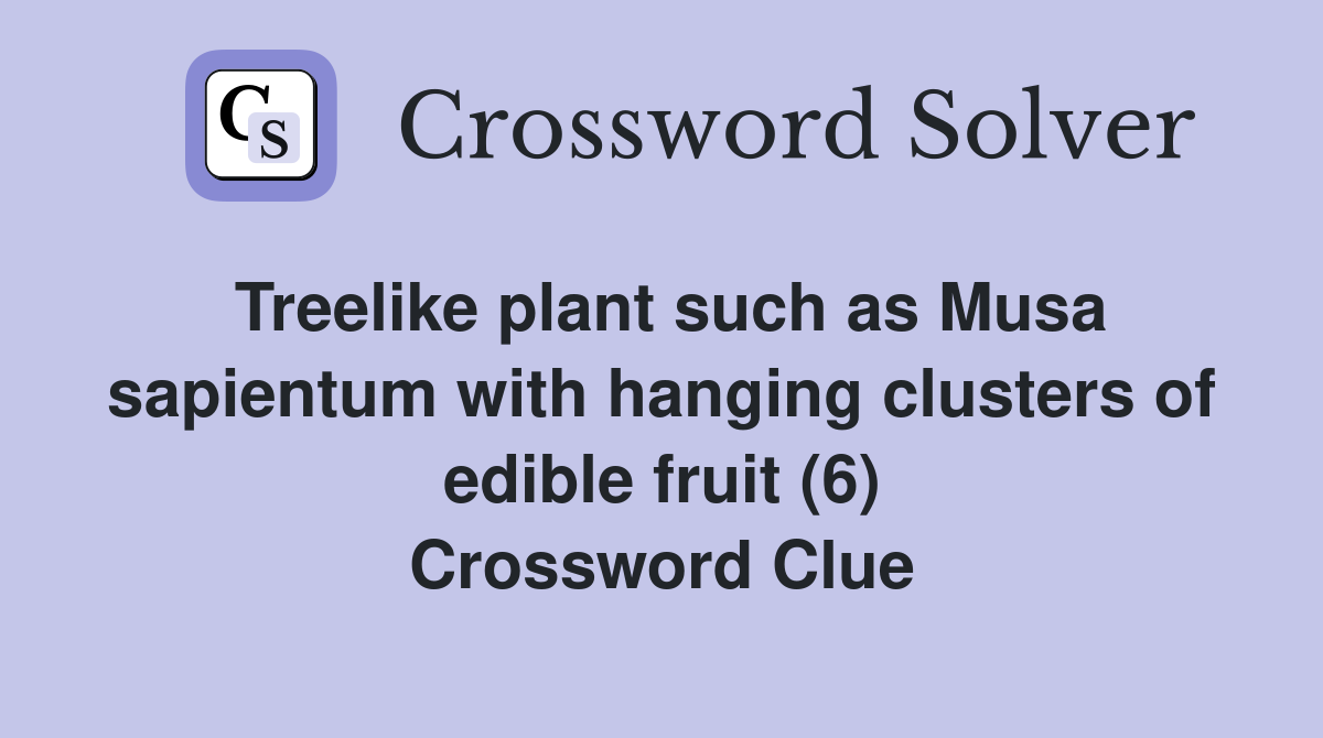 Treelike plant such as Musa sapientum with hanging clusters of edible fruit (6) Crossword Clue