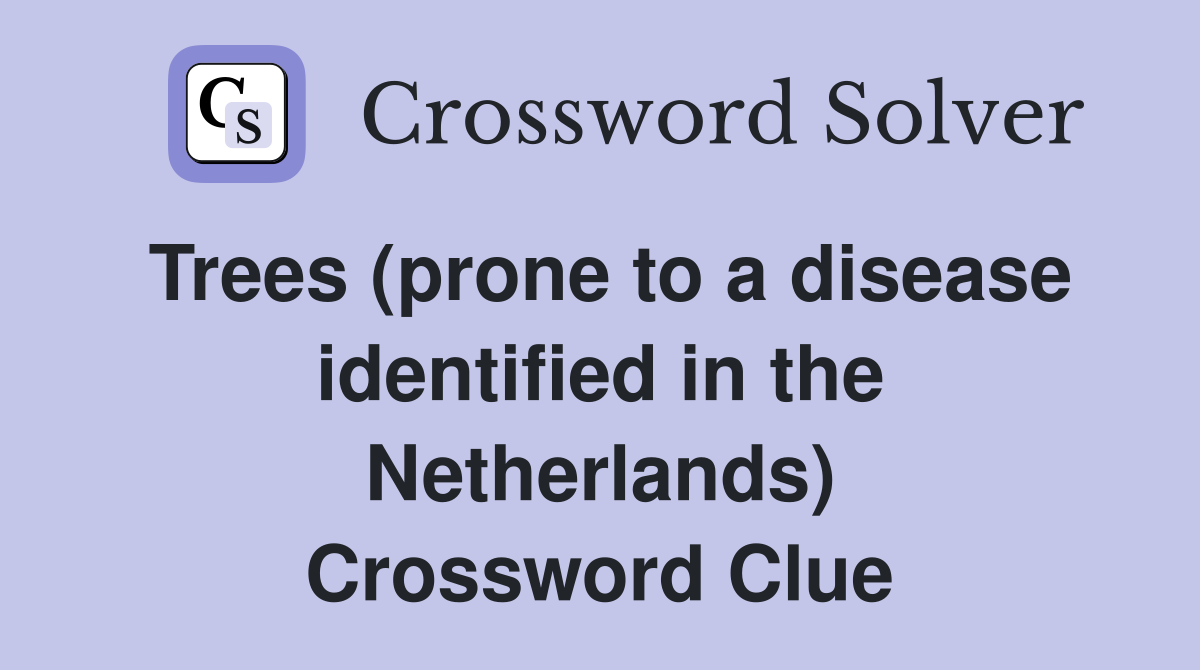 Trees (prone to a disease identified in the Netherlands) Crossword Clue