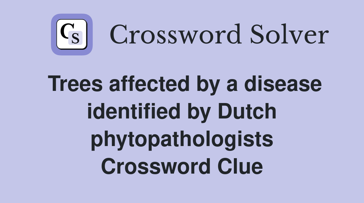 Trees affected by a disease identified by Dutch phytopathologists Crossword Clue
