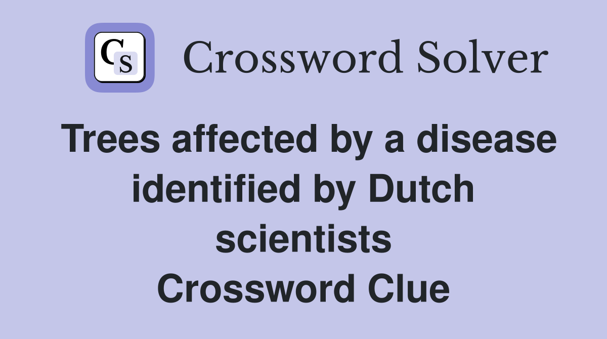 Trees affected by a disease identified by Dutch scientists Crossword Clue