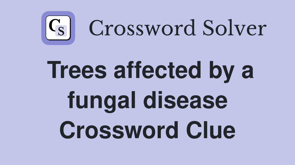 Trees affected by a fungal disease Crossword Clue