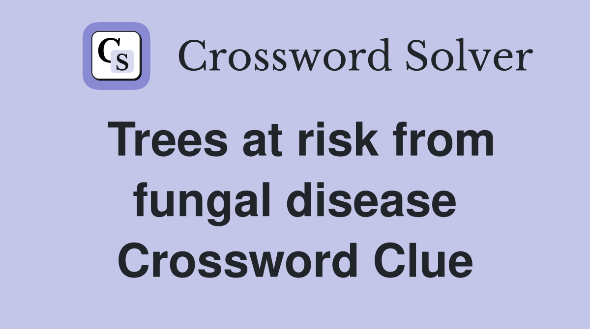 Trees at risk from fungal disease Crossword Clue