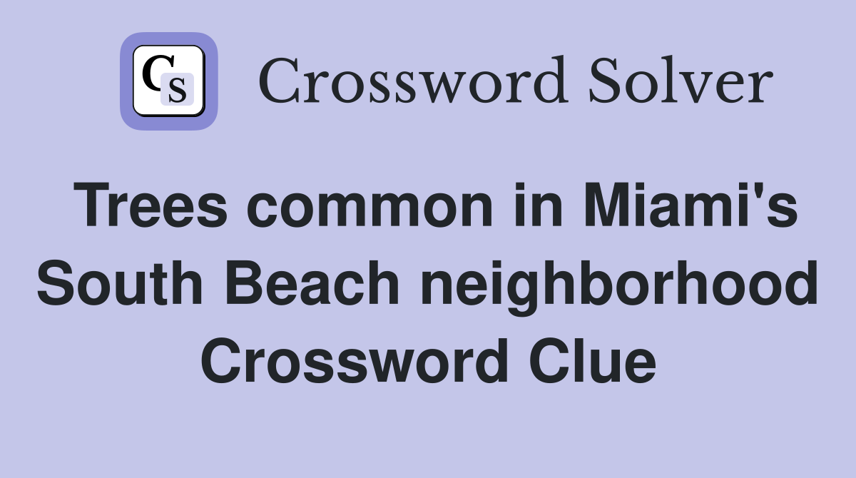 Trees common in Miami's South Beach neighborhood Crossword Clue