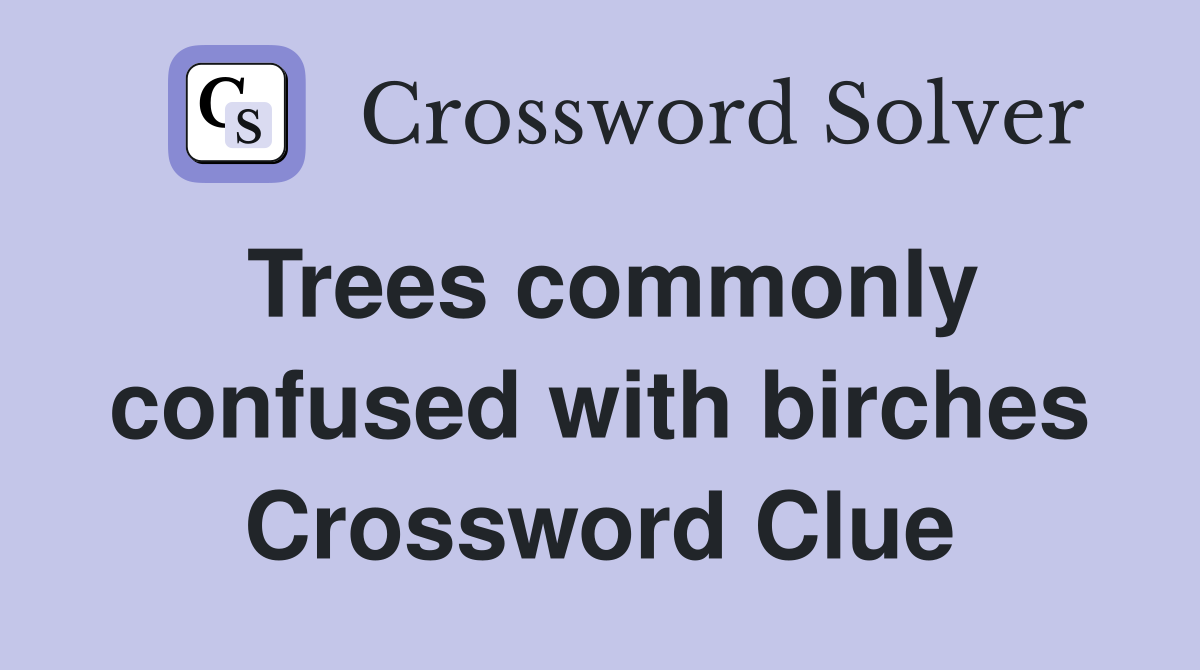 Trees commonly confused with birches Crossword Clue