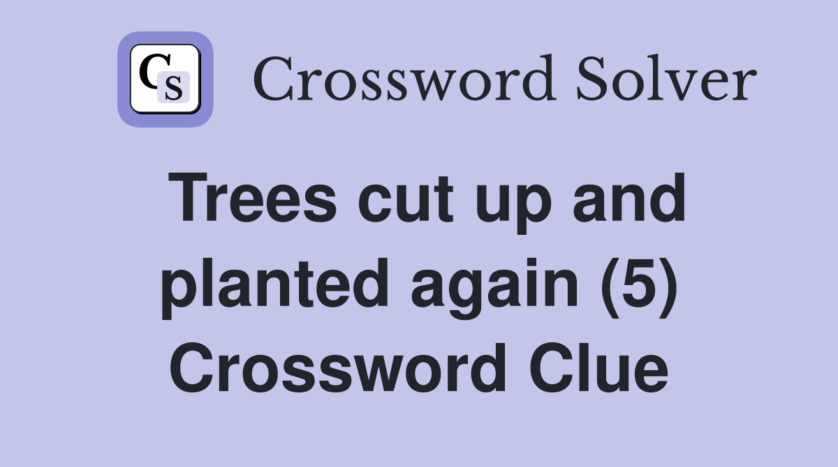 Trees cut up and planted again (5) Crossword Clue