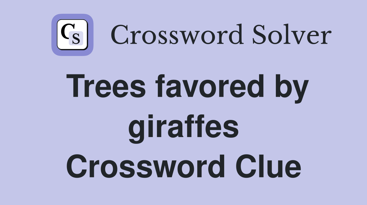 Trees favored by giraffes Crossword Clue