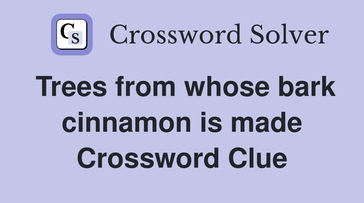 Trees from whose bark cinnamon is made Crossword Clue