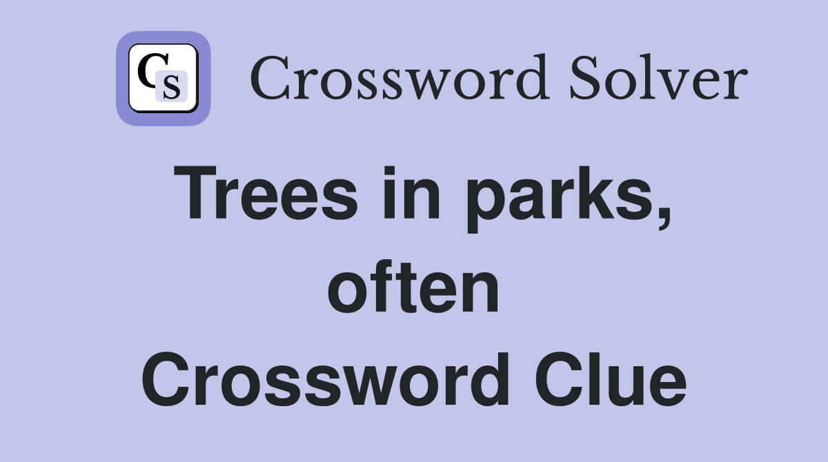 Trees in parks, often Crossword Clue